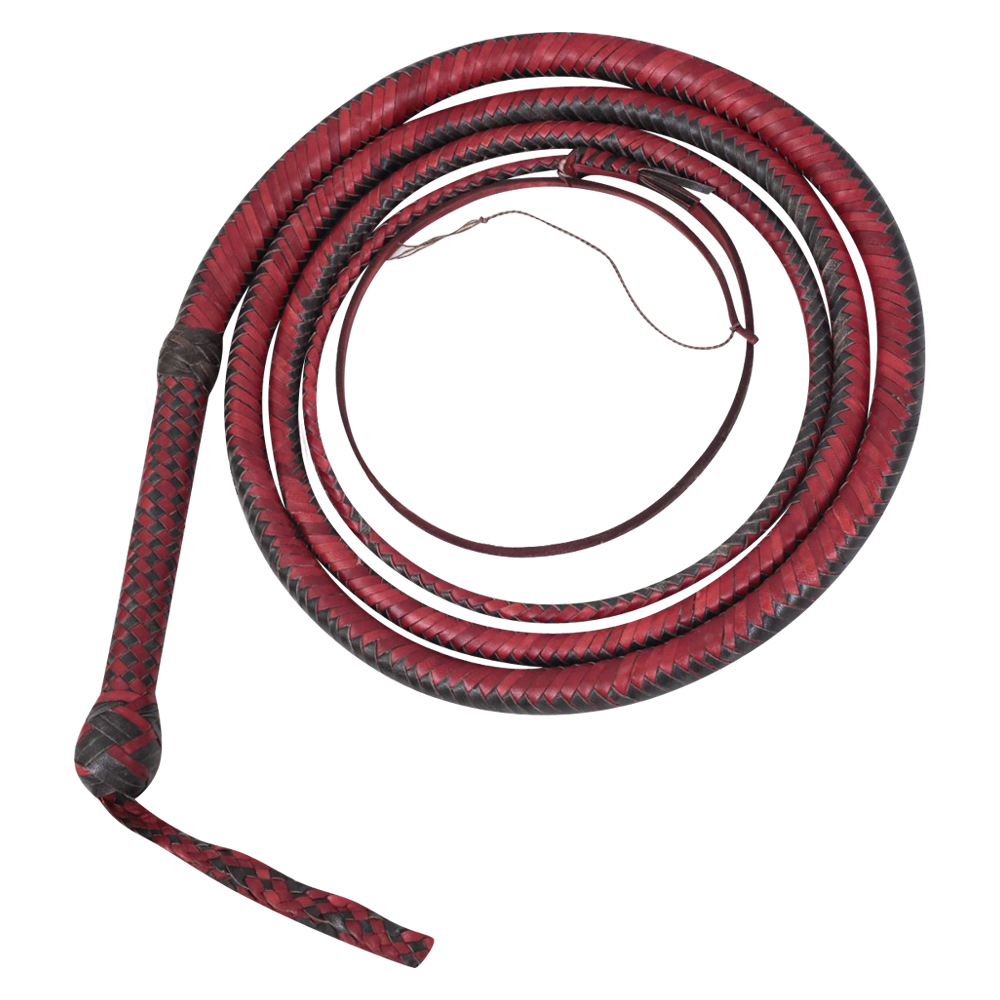 Bull Whip 04 Feet 12 Plaits Cow Hide Leather